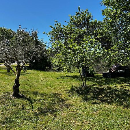 Les Demeures Du Clos Niozelles Екстериор снимка
